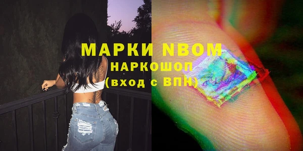 индика Аркадак