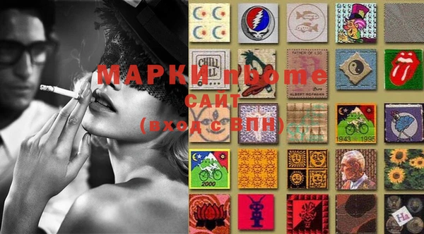 индика Аркадак